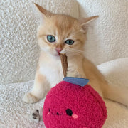 TOOCAT Silvervine Teeth Grinding Toy – Self-Entertaining Chew Stick for Cats