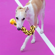 ZEZE Chew-Resistant Rope Knot Toy – Dental Care, Interactive Tug & Entertaining Chew