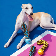 ZEZE Chew-Resistant Rope Knot Toy – Dental Care, Interactive Tug & Entertaining Chew