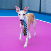 ZEZE Chew-Resistant Rope Knot Toy – Dental Care, Interactive Tug & Entertaining Chew